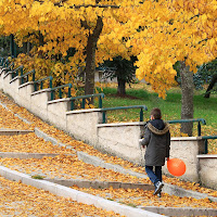 le foglie in autunno di 