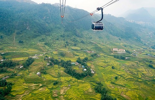 Cáp treo Fansipan, ngất ngây với mùa lúa chín 2