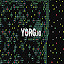 YORG IO Game