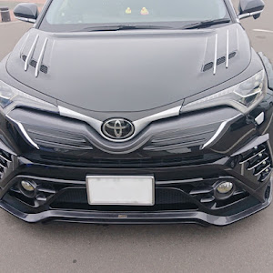 C-HR NGX50