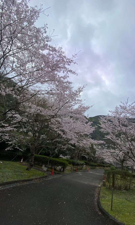 エブリイワゴンのちょいアゲ・リフトアップ・4月もよろしくお願い致します🌸・桜とコラボ・春ですねに関するカスタム事例の投稿画像9枚目