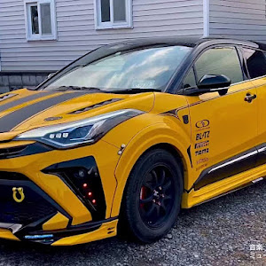 C-HR NGX10