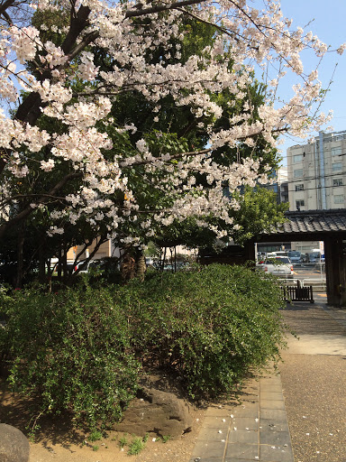 六本木西公園