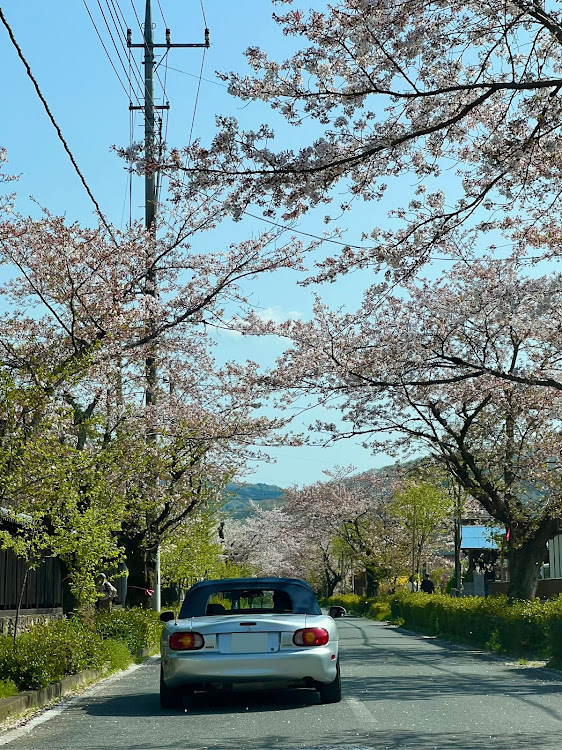 の投稿画像4枚目