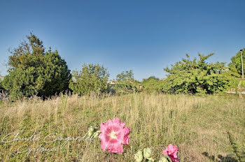 terrain à Marsilly (17)