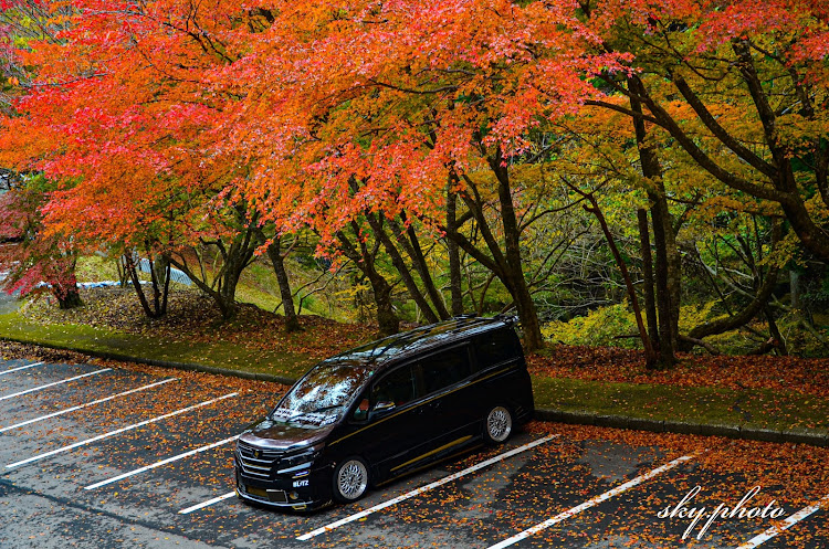 ヴォクシーの紅葉・ドライブ・カメ活・英彦山・11月も宜しくお願いしますに関するカスタム事例の投稿画像3枚目