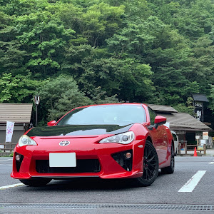 86 ZN6