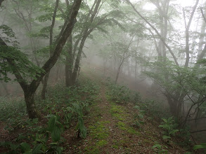 丸山との鞍部に到着