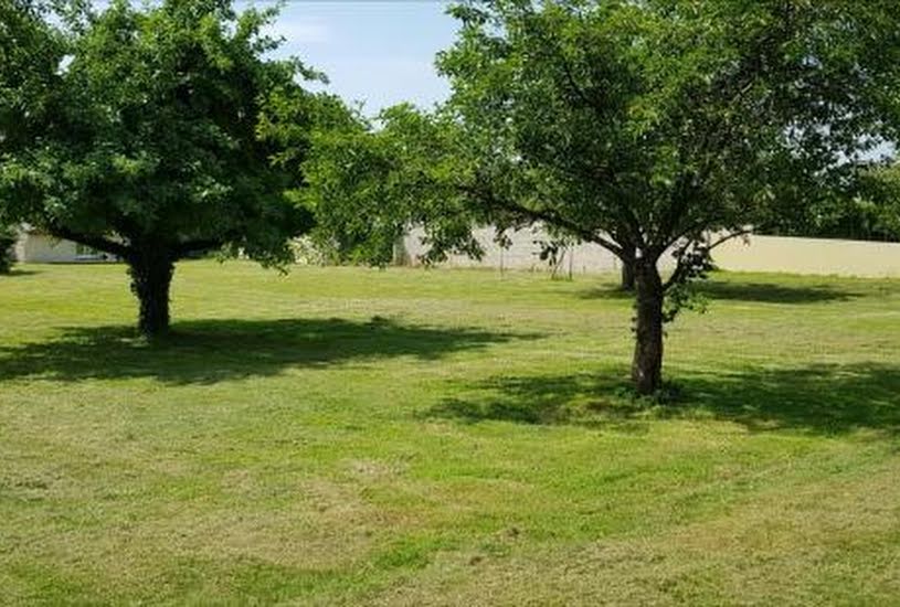  Vente Terrain à bâtir - 983m² à Saint-Martin-d'Ablois (51200) 