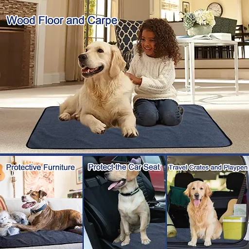 2021 New Waterproof Reusable Dog Bed Mats Dog Urine Pad Puppy Pee Fast Absorbing Pad Rug for Pet Sleep Soft Carpet Blank