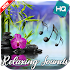 Relaxing Music 20205.0.2