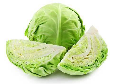 cabbage