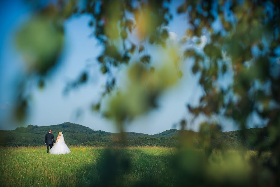 結婚式の写真家Dominik Kučera (dominikkucera)。2019 2月21日の写真