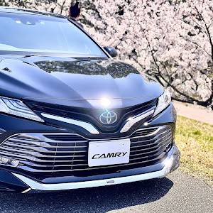 カムリ AXVH70