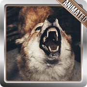 Wolf Live Wallpaper  Icon