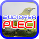 Download Cara Budidaya Pleci For PC Windows and Mac 2.4.0