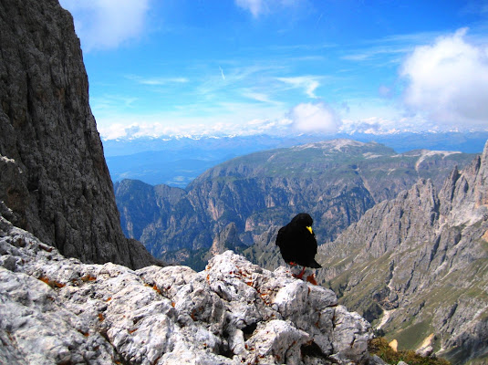 Volerei solo, dov'è silenzio e nuda roccia di ventoirlandese