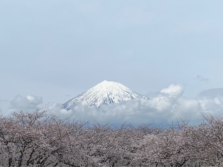 の投稿画像2枚目