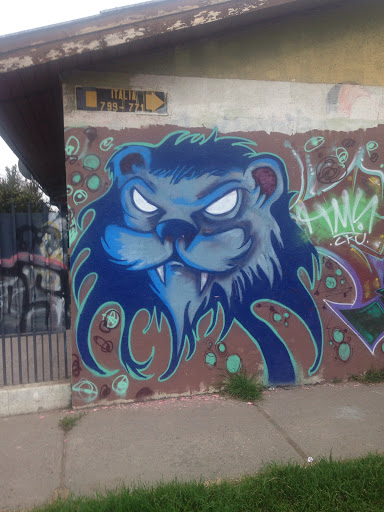 Blue Lion