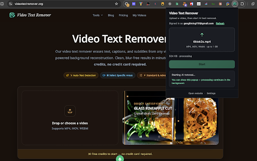 Video Text Remover screenshot 2