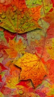 Free Download Abstract live wallpaper APK for PC