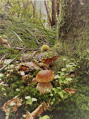 principio di autunno di Marinazu