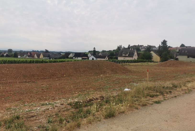  Vente Terrain à bâtir - 459m² à Beblenheim (68980) 