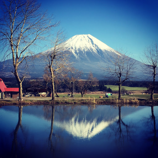 ごぶりんちょのプロフィール画像