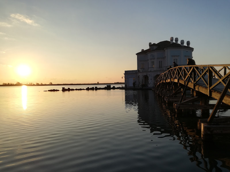 Riconquista  di maddalena_cristofaro