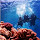 Underwater Ocean Pics & New Tab