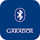 Garador BlueSecur Download on Windows