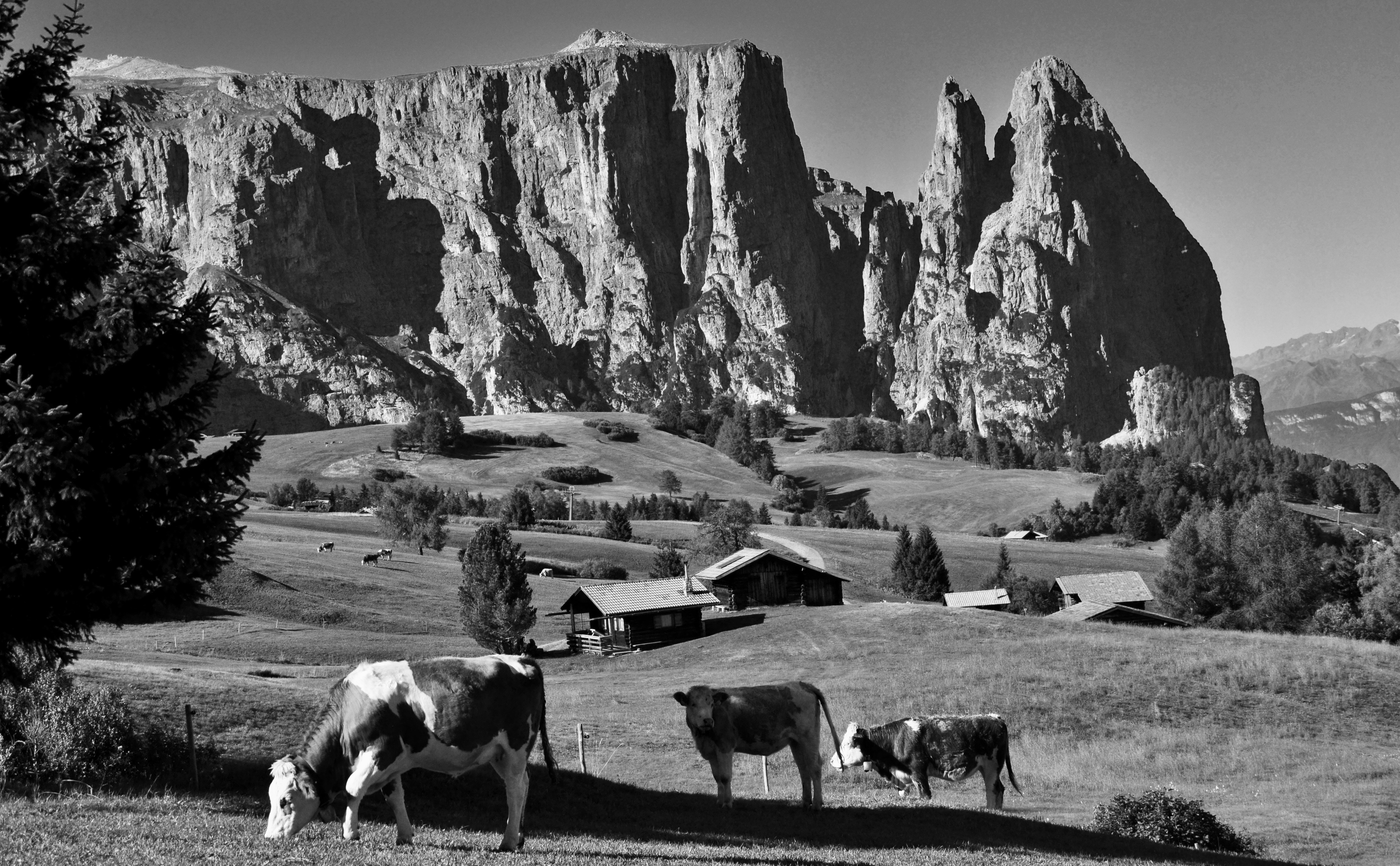 Quando la Natura da spettacolo ! di giuseppedangelo