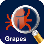 Cover Image of Herunterladen MyPestGuide Grapes 1.4 APK