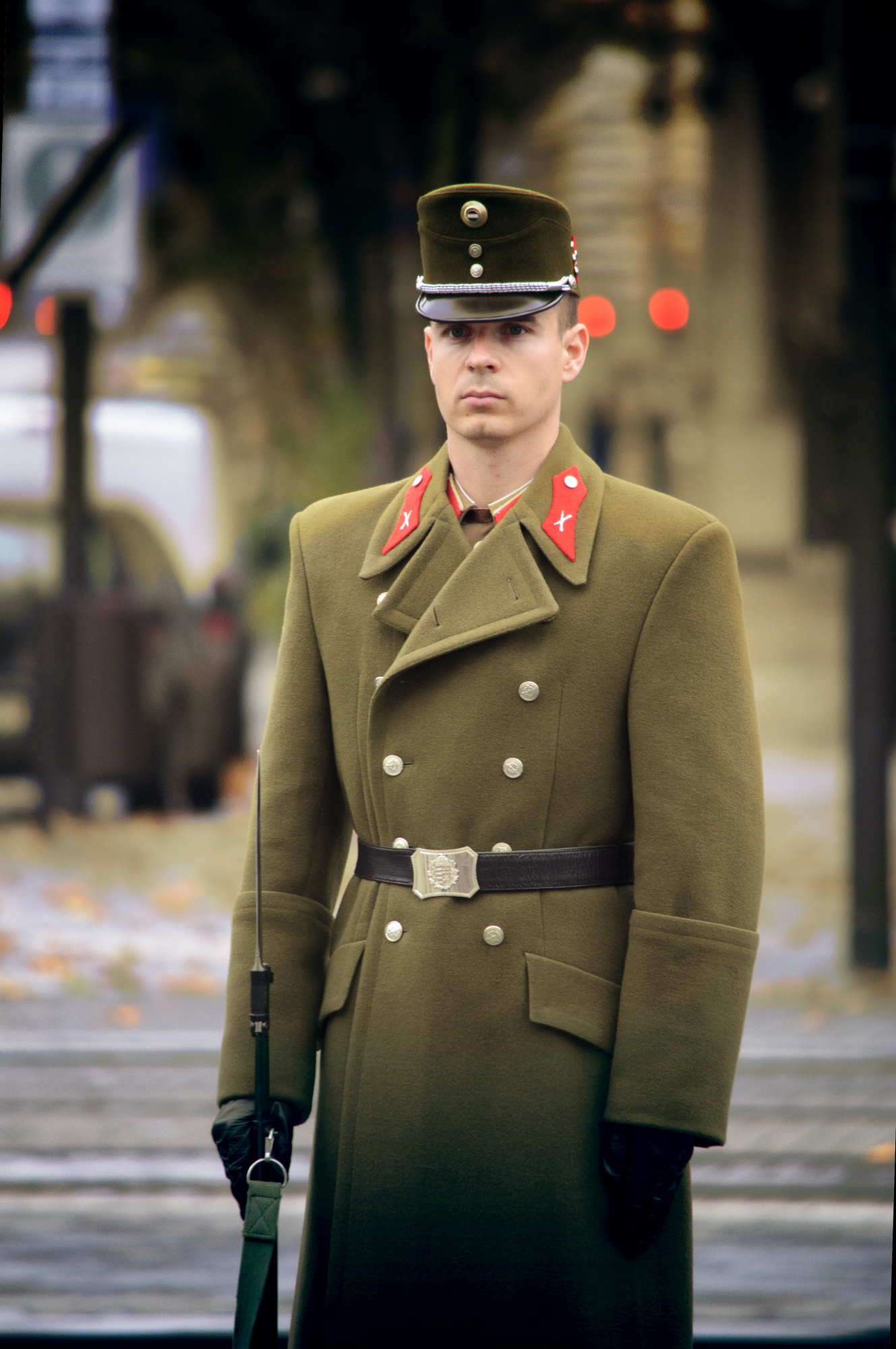 Hungarian Parliament Guard di giorgiacolletti