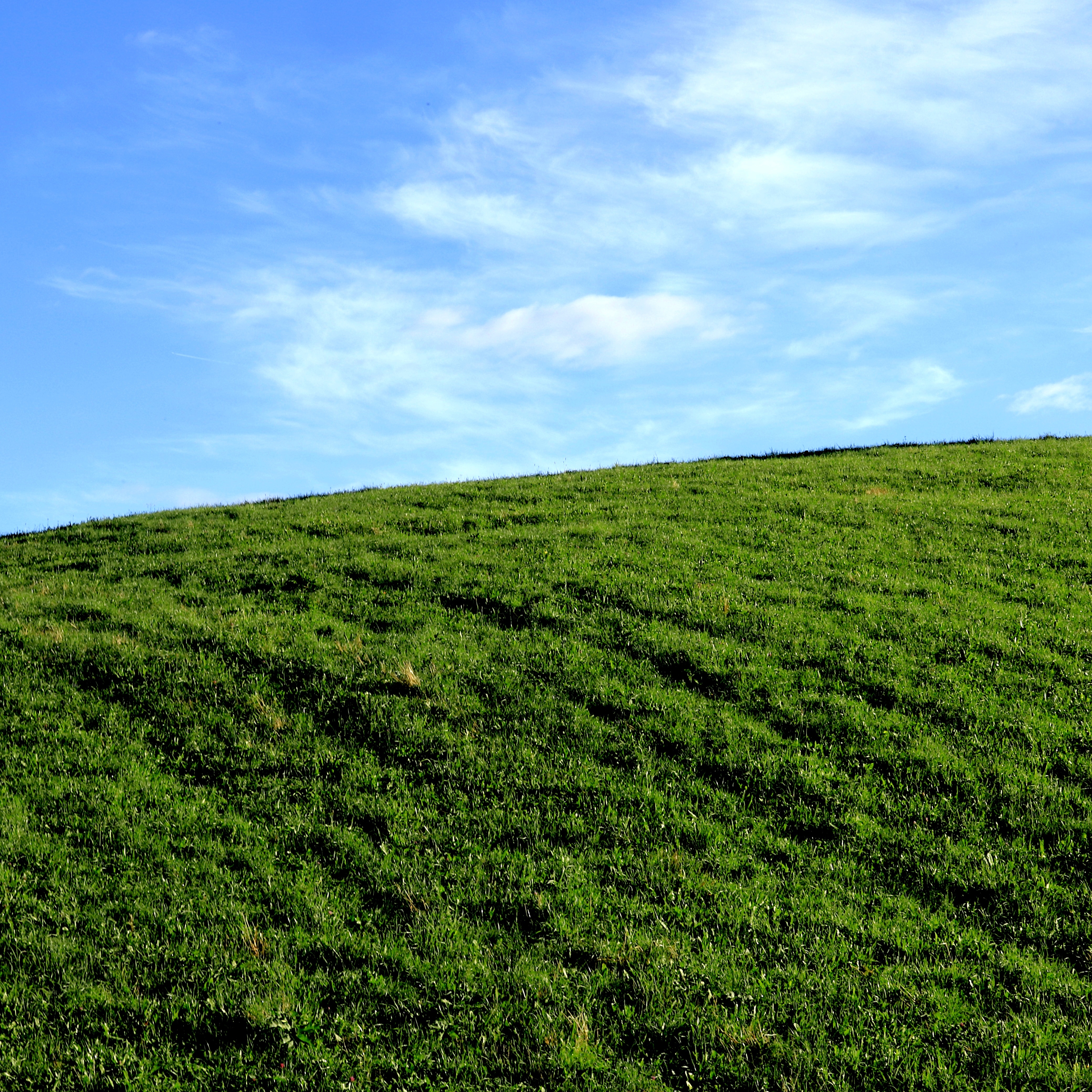 L'infinito di boletusedulis