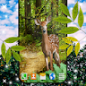 Forest Live Wallpaper icon