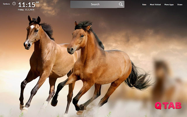 Horses Wallpapers Theme Horse New Tab