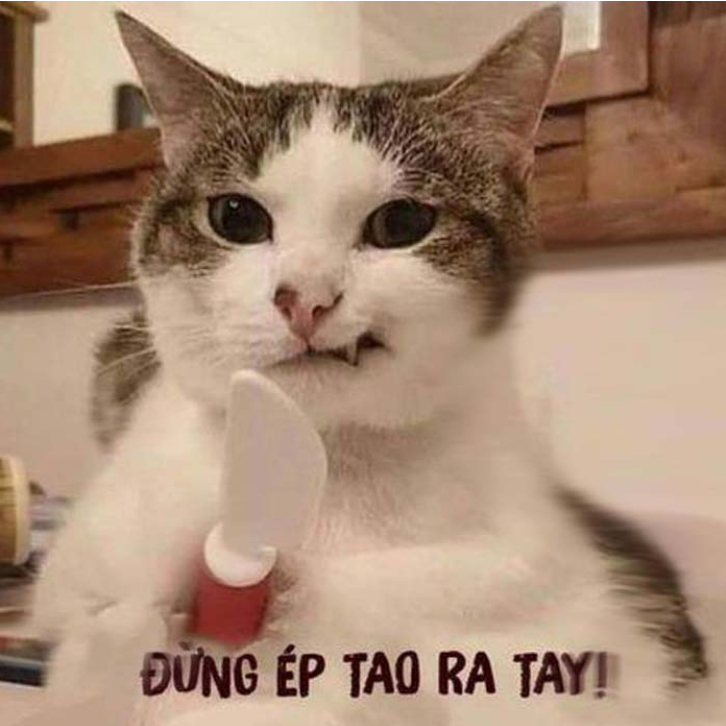 Tổng hợp Meme tức giận cute, dễ thương, tức ghê, giận tím người