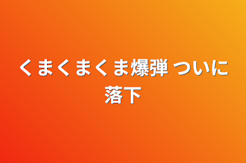 くまくまくま爆弾 ついに落下