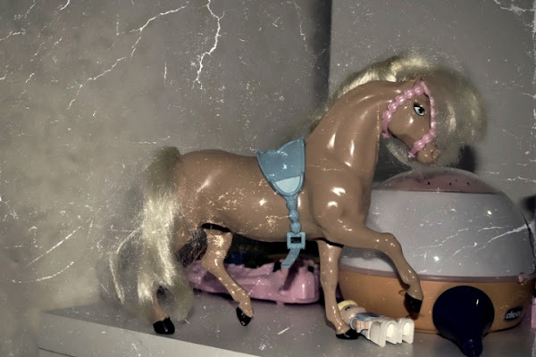 Il cavallo di Barbie..... di sanx