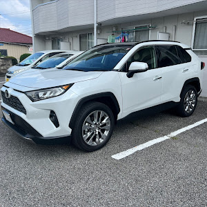 RAV4 MXAA54