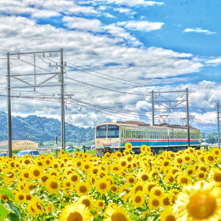 Marionette工房 班長 三浦さんが投稿したお盆休み・nikond750・夏っぽい写真展に関するカスタム事例の投稿画像3枚目