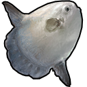 Add Ocean Fish to FF14 Fish Tracker