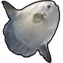 Add Ocean Fish to FF14 Fish Tracker