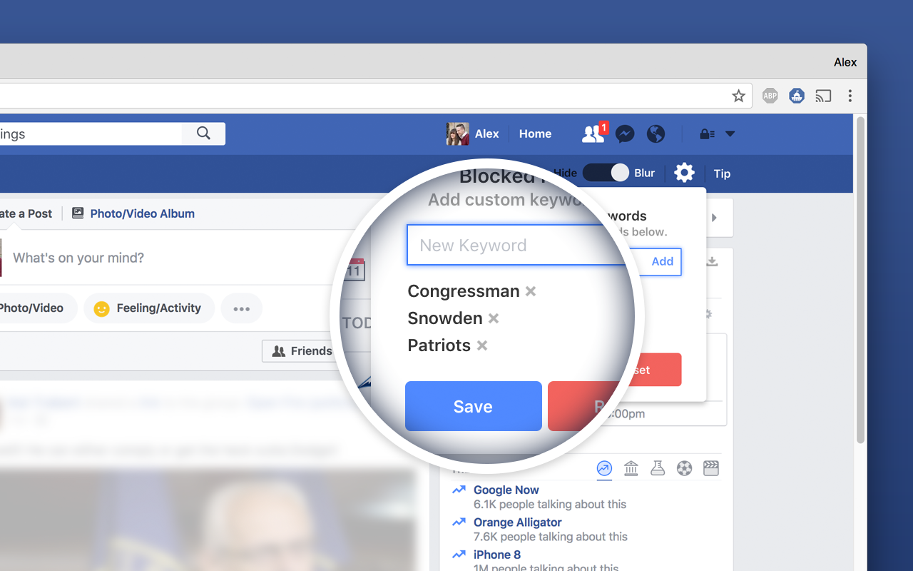 FPB - Remove Politics from Facebook Preview image 5