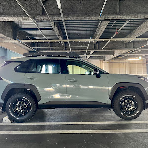 RAV4 MXAA54