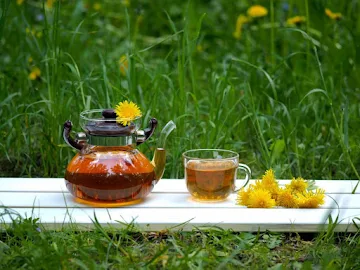 best-detox-tea-for-weight-loss-dandelion-root-tea_image