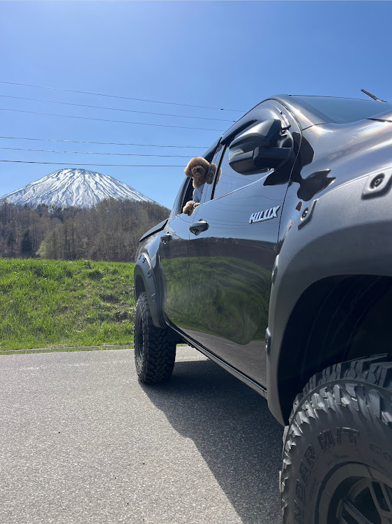 ハイラックスのトイプードル・ハイラックスGUN125・羊蹄山・京極町・ドライブに関するカスタム事例の投稿画像2枚目