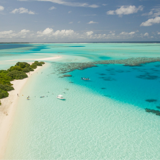 Caribbean