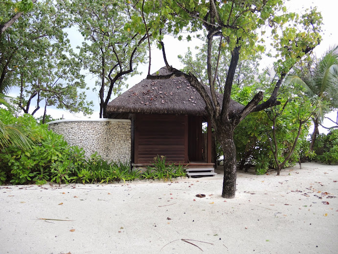 a hut on a beach